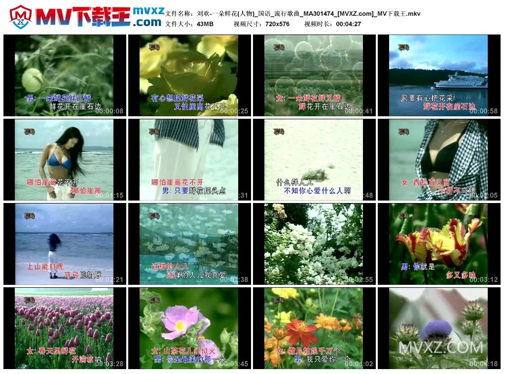 刘欢-一朵鲜花(人物)_国语_流行歌曲_MA301474